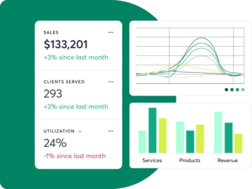 Mindbody reporting features