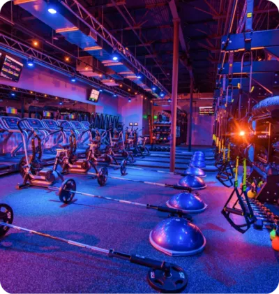 Weights, treadmills and other gym equipment